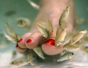 Fish Pedicures in Arizona Salons